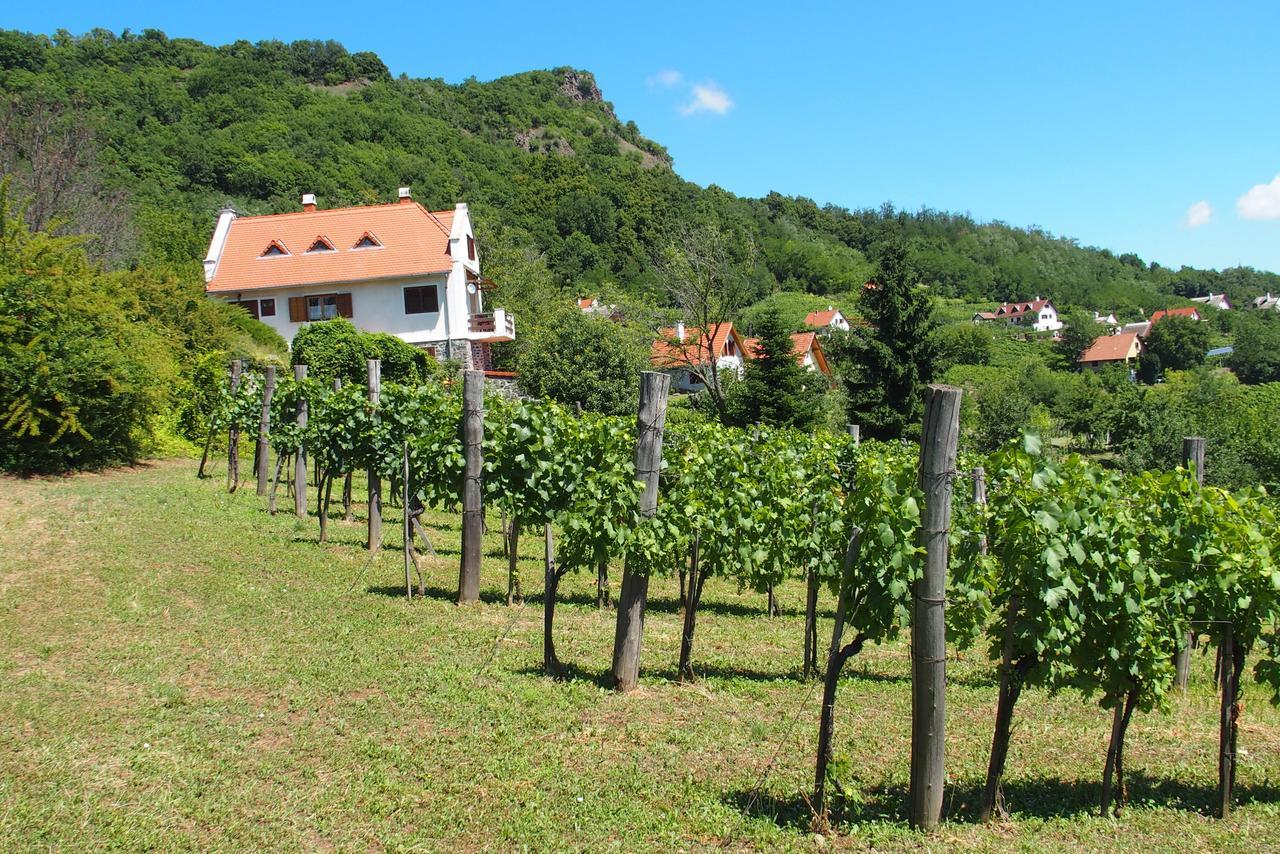 Kápolnás Ház Villa Hegymagas Kültér fotó